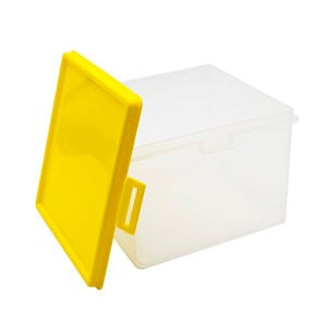 Greenbean - High Square Box