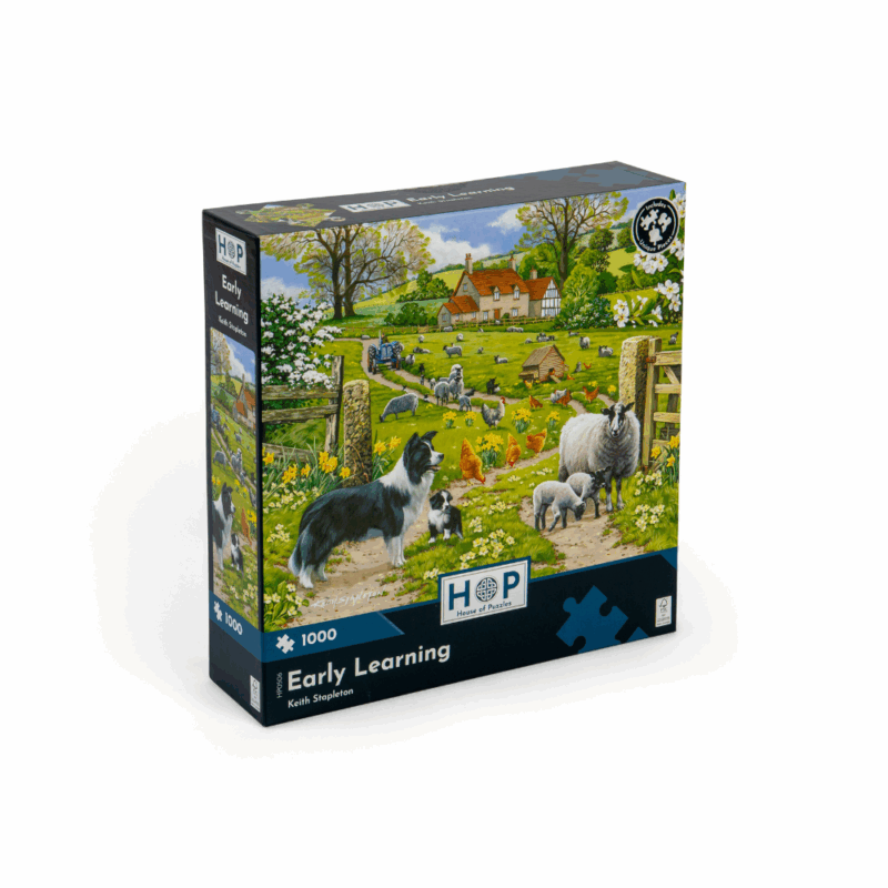 House of Puzzles - Early Learning - 1000 Piece Jigsaw Puzzle ...