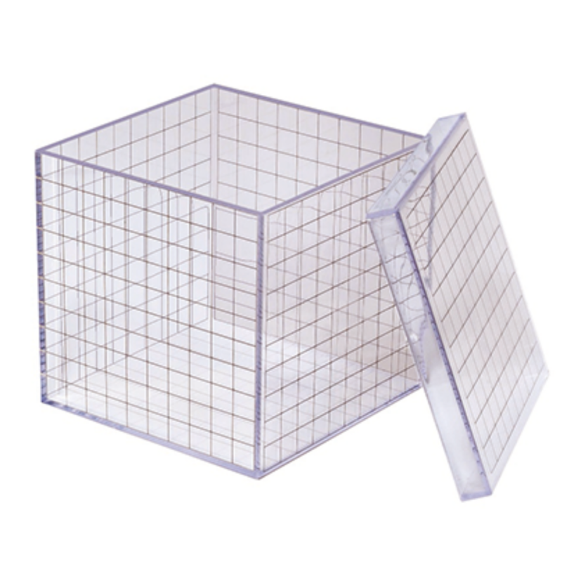 Greenbean - 1L Cube 3D Grid Box Without Lid - Math Learning ...