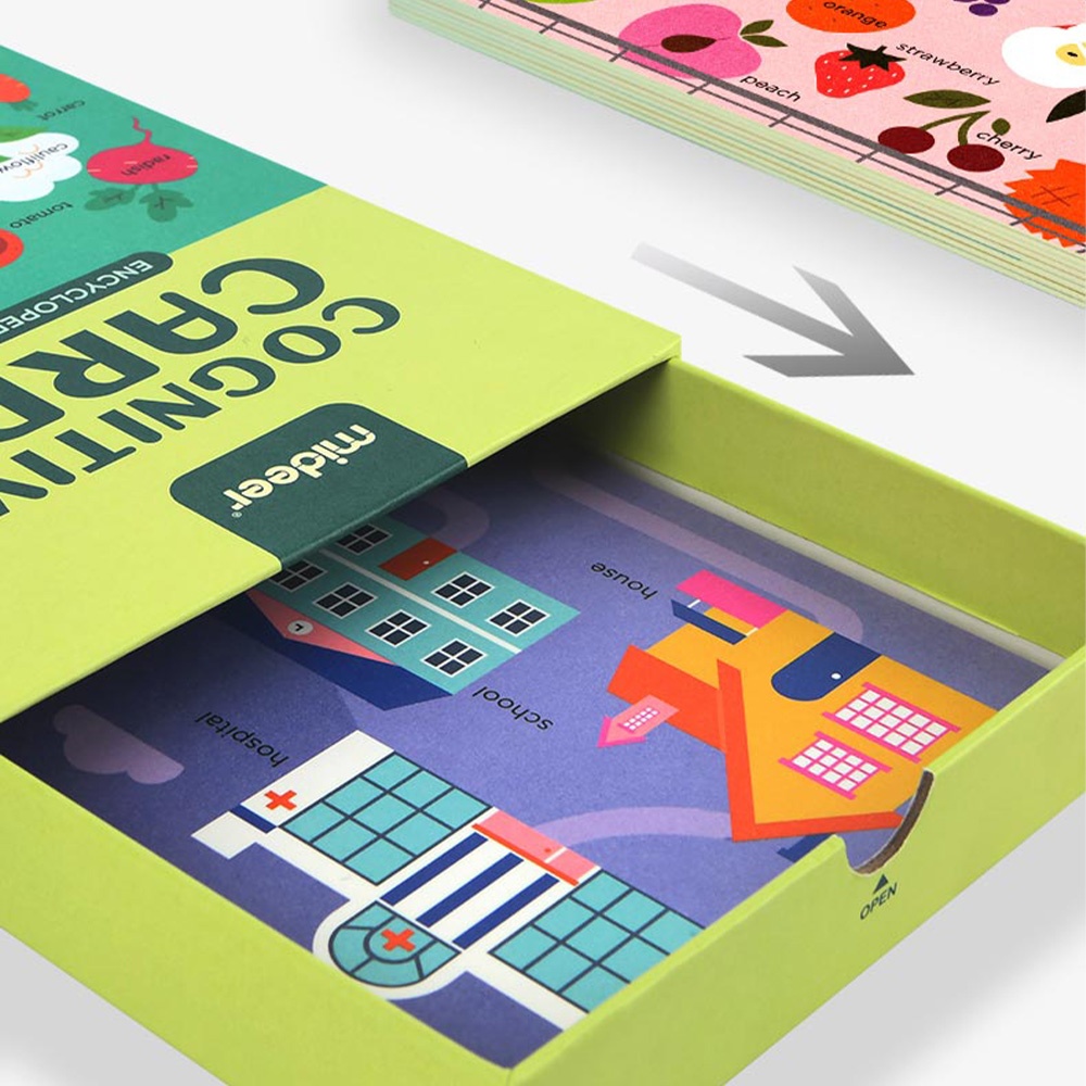 Mideer - Reading Flash Cards for Kids - Encyclopedia of Life - Image 2