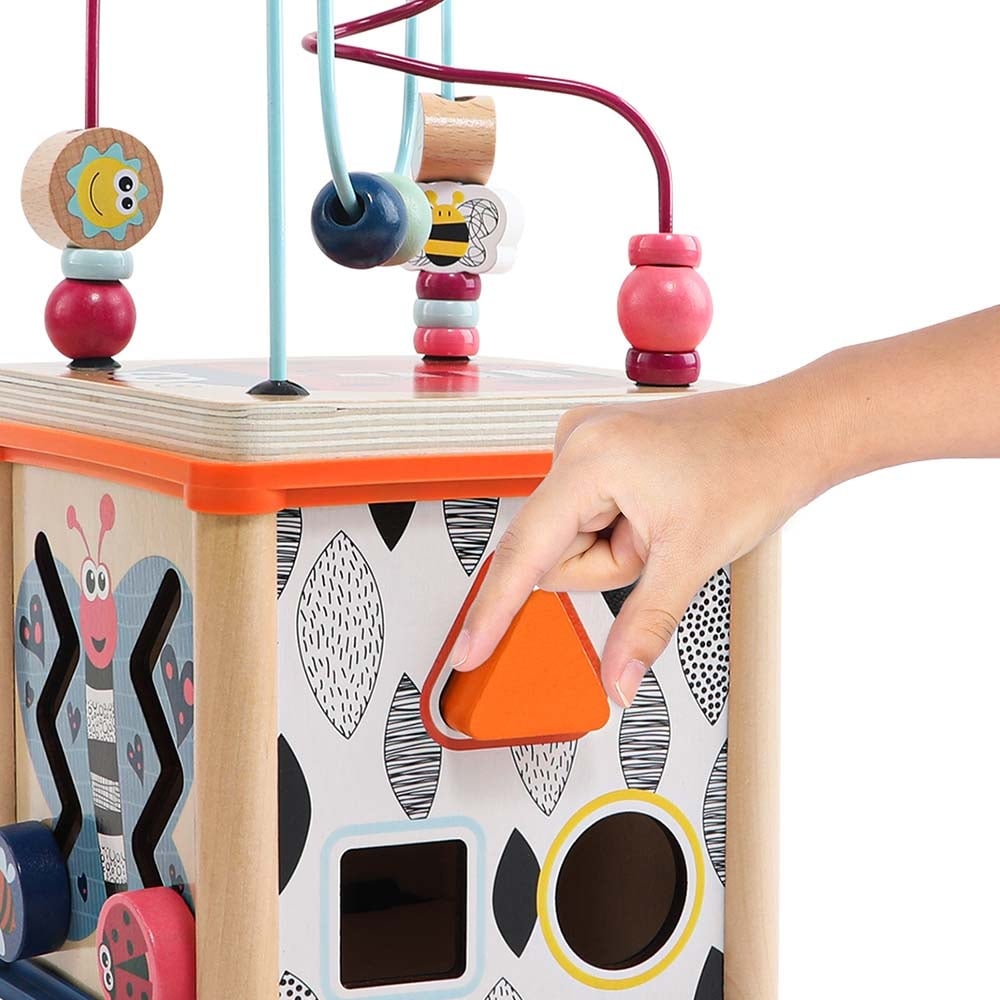 TopBright - 5-in-1 Insect Play Cube: Montessori Activity Toy - Image 4