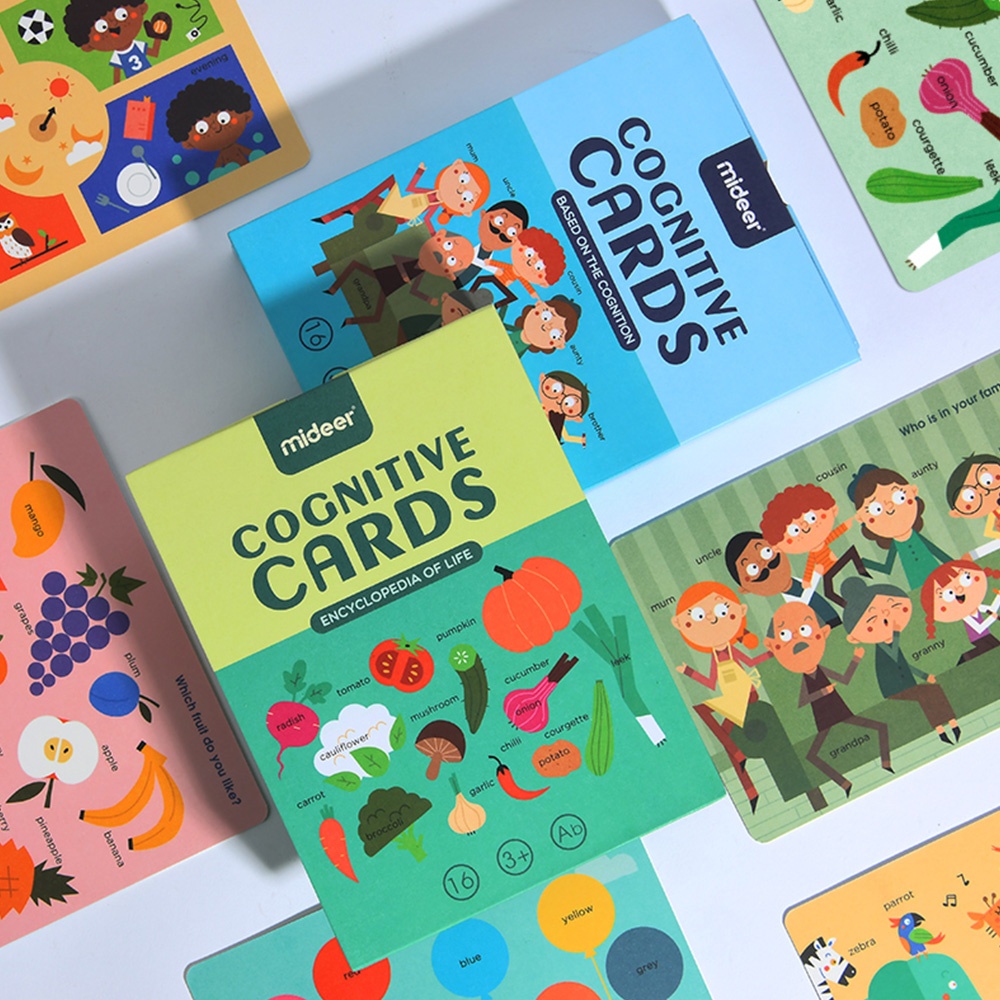 Mideer - Reading Flash Cards for Kids - Encyclopedia of Life - Image 7