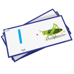 Greenbean - Frieze Cards isiXhosa
