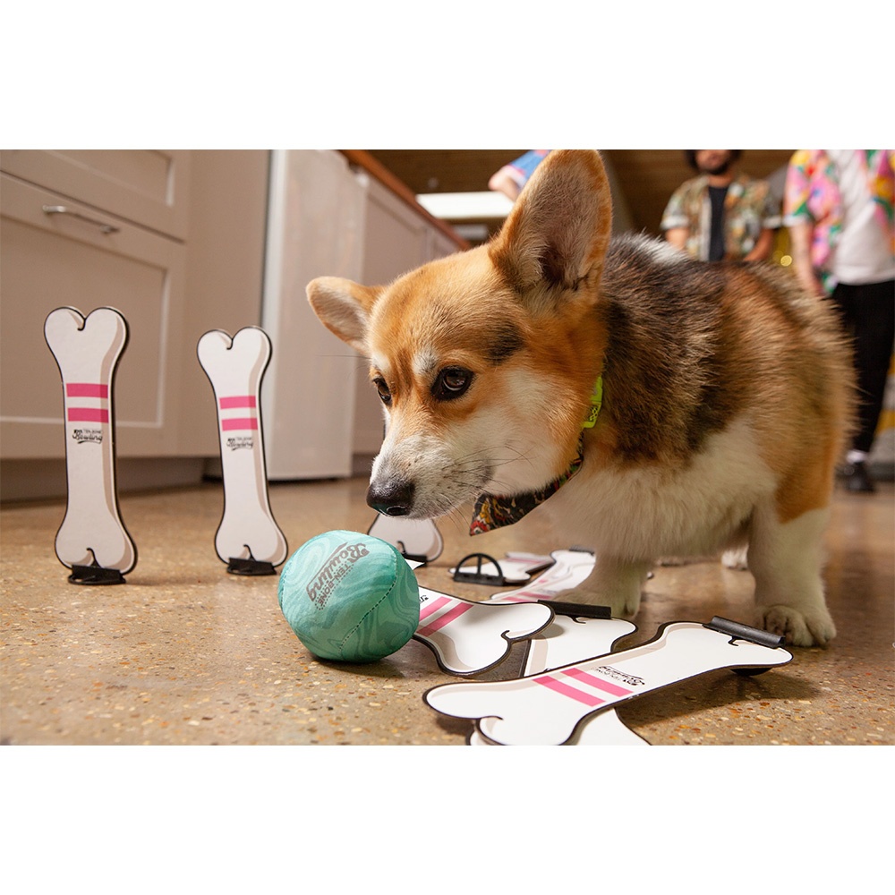 Big Potato Games - Ten Bone Bowling - A Family Party Game for You and Your Dog - 2-10 Players - Image 3