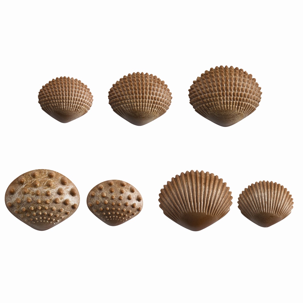 EDX Education - Tactile Shells - Eco Friendly FPC Material - 6 Tactiles - 3 Sizes - 36pcs - Image 4