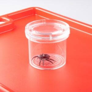Greenbean - Magnifying Bug Viewer - Insect Exploration STEM Toy