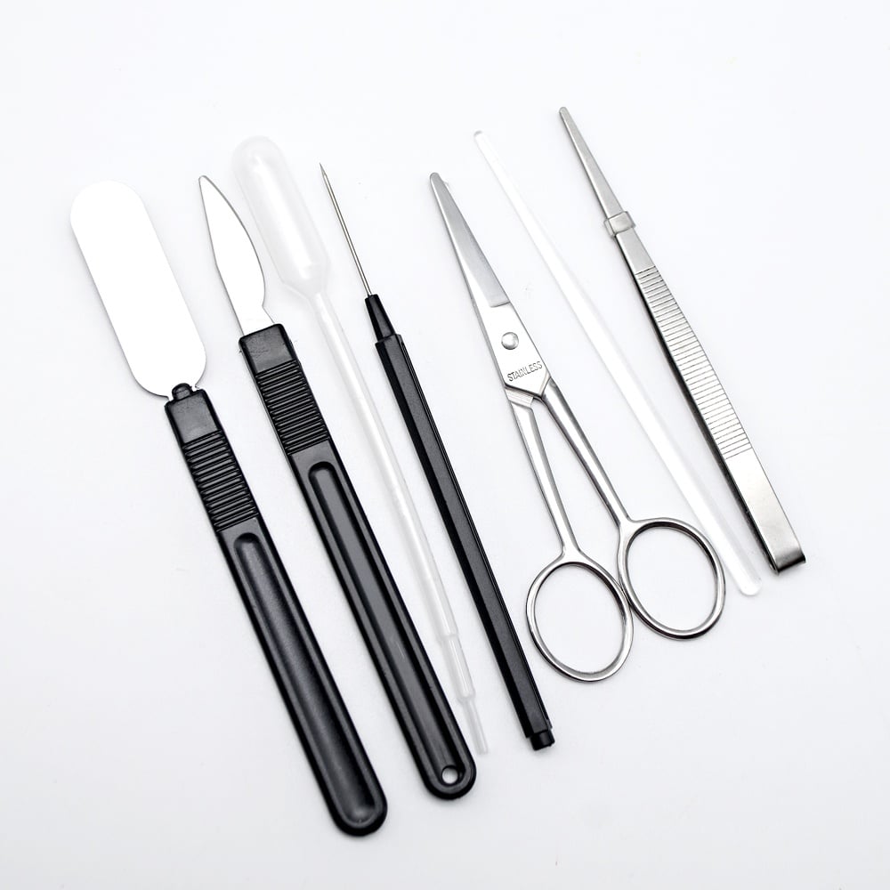 Edu-Toys - Dissecting Kit