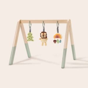 TookyToy - Portable Baby Gym & Mobile