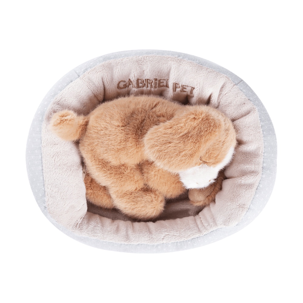 Gabriel - Plush Animal Soft Toy - Loulou Puppy - 18cm - Image 2