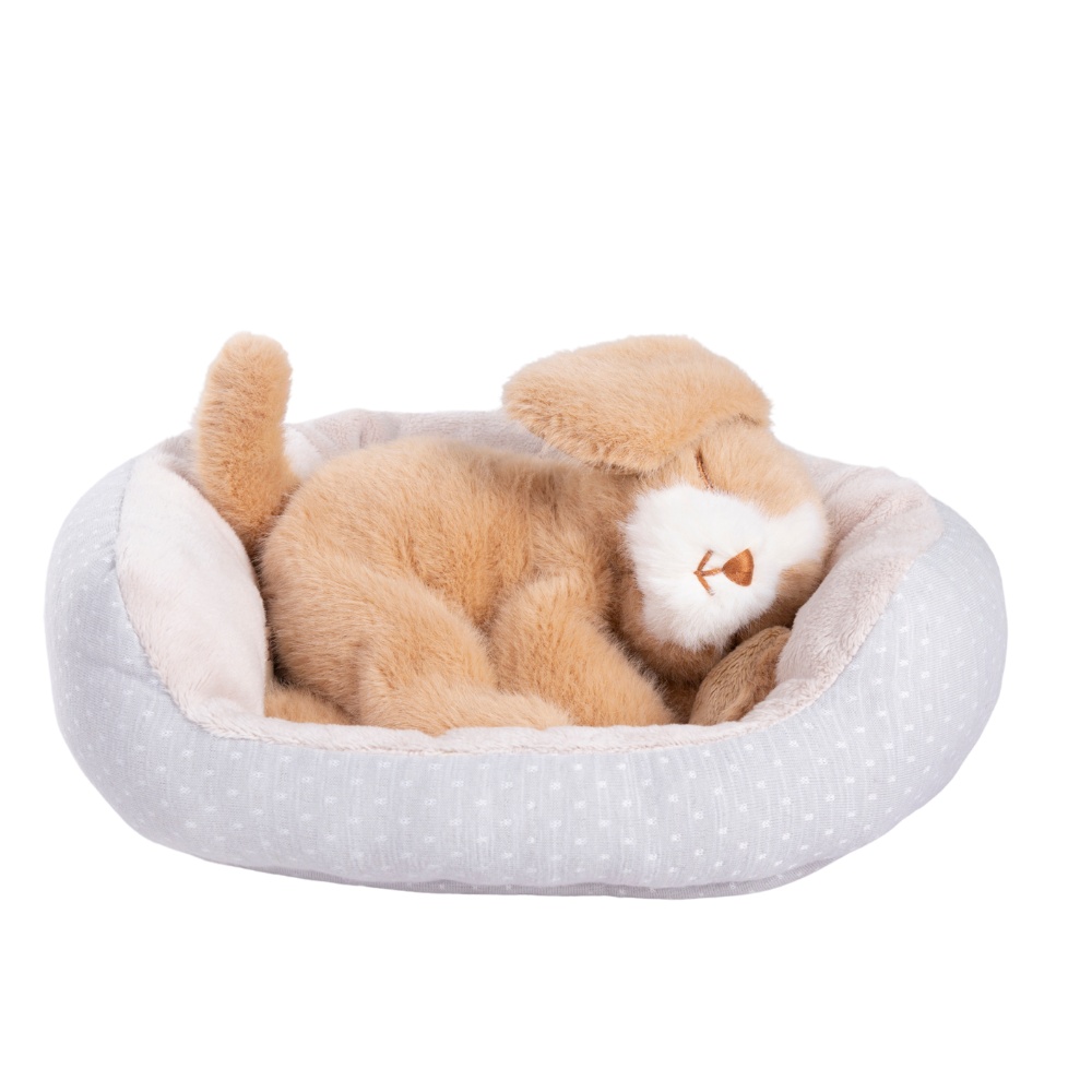 Gabriel - Plush Animal Soft Toy - Loulou Puppy - 18cm - Image 3