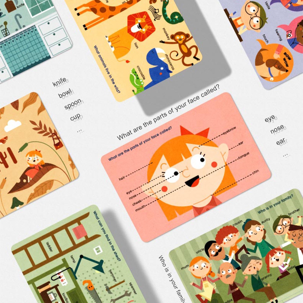 Mideer - Reading Flash Cards for Kids - Encyclopedia of Life - Image 5