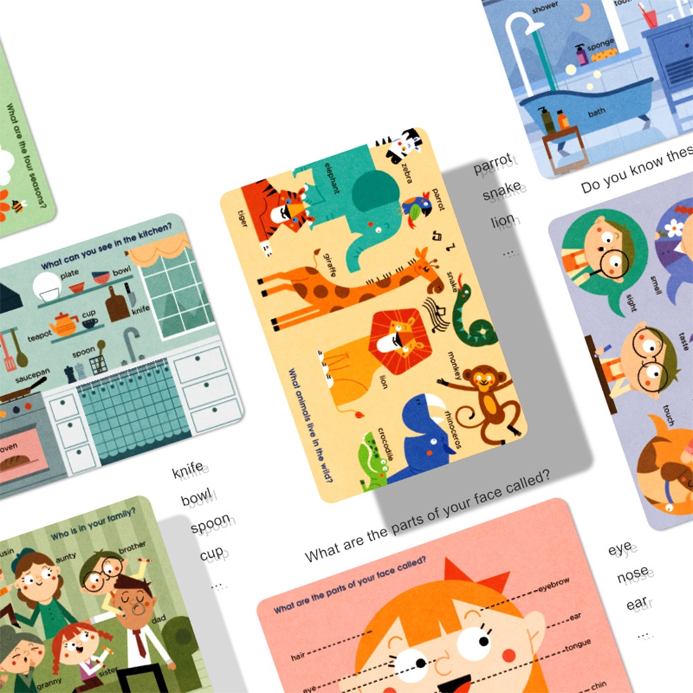 Mideer - Reading Flash Cards for Kids - Encyclopedia of Life - Image 6